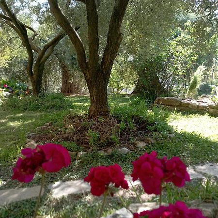 Villa Relax Skála Kallirákhis Dış mekan fotoğraf