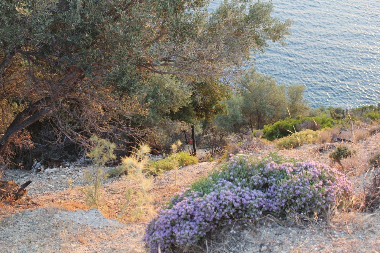 Villa Relax Skála Kallirákhis Dış mekan fotoğraf