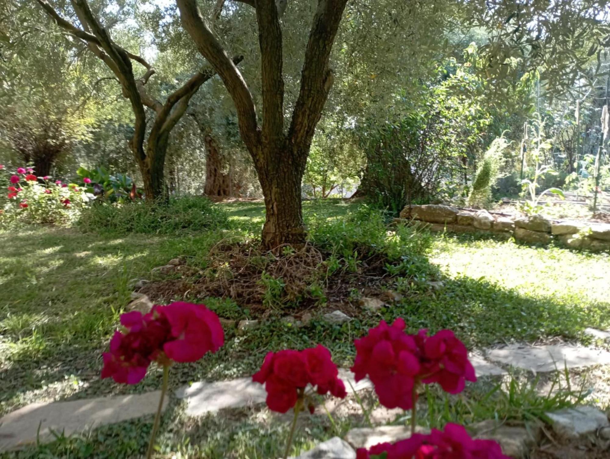 Villa Relax Skála Kallirákhis Dış mekan fotoğraf